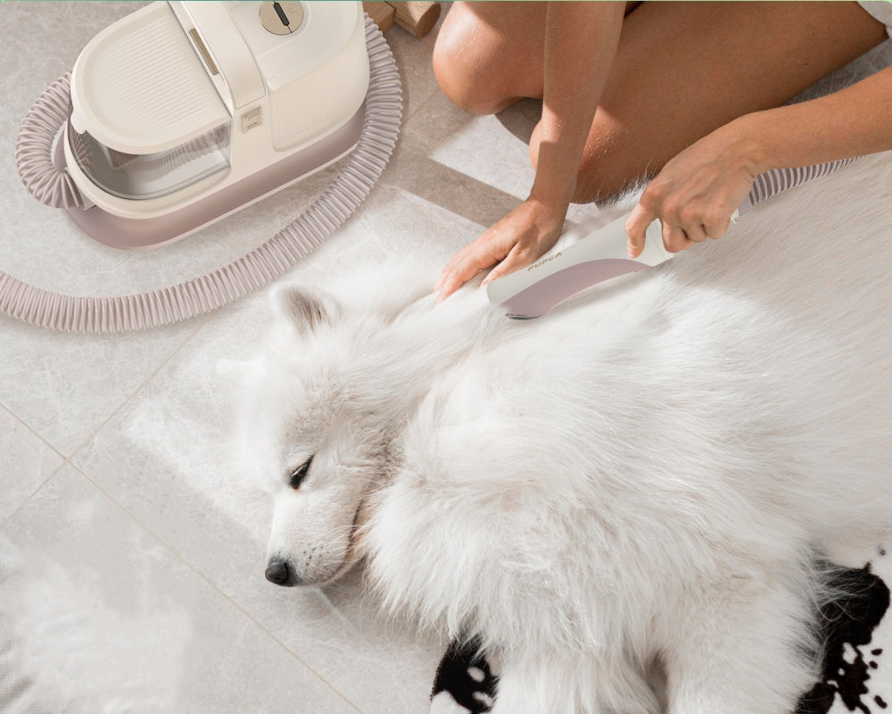 Pet Owners' Comprehensive Guide: Solving Your Furry Friend's Needs with Innovative Pet Devices