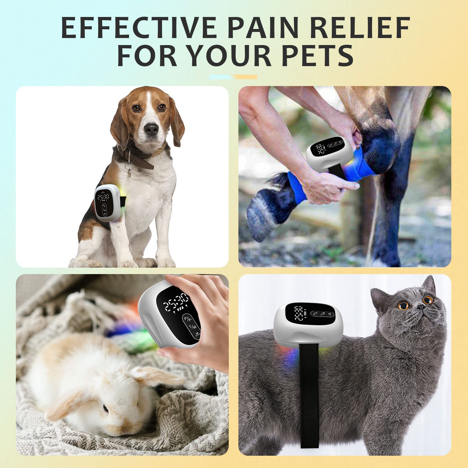 KTS® Pet Cold Laser Therapy Device